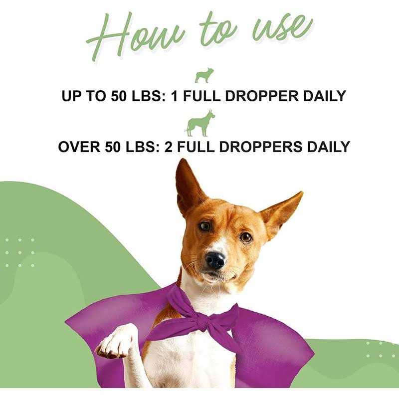 Milk Thistle Liver Support for Dogs P682