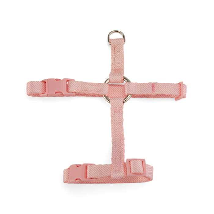 Kitten Harness & Leash Set D47194