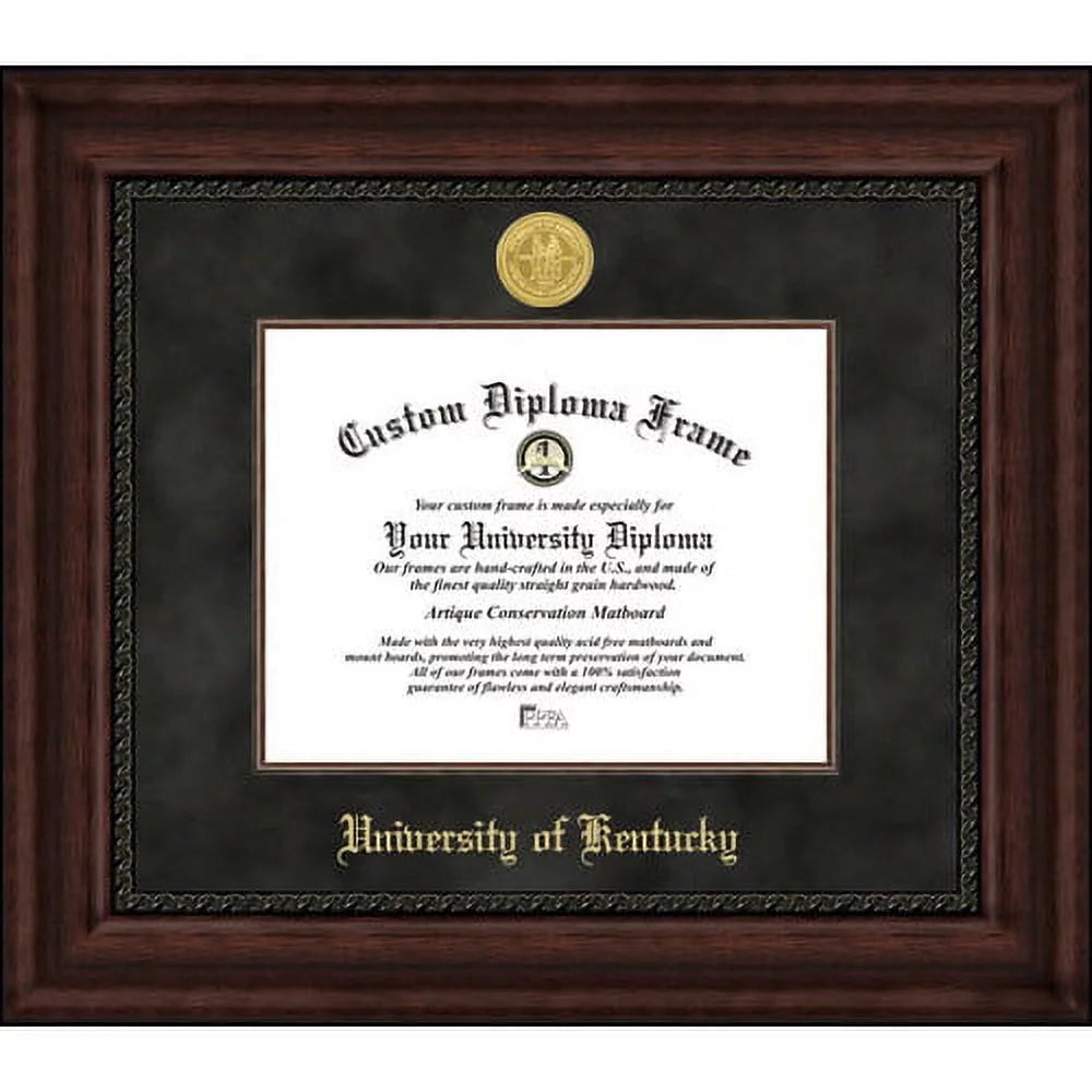 University of Illinois Executive Diploma Frame I564053
