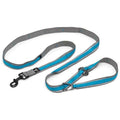 Dog Leash O434754