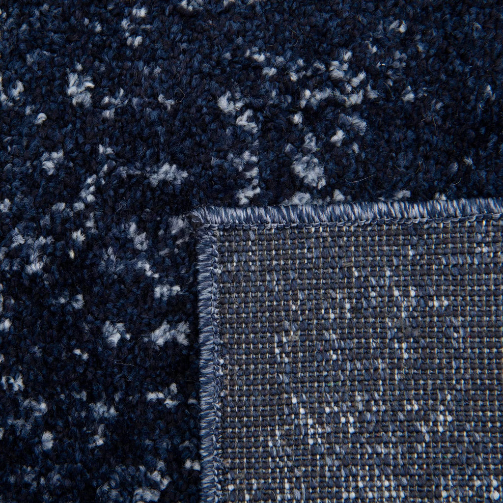 Blue 8' x 10' Medium Rug S799
