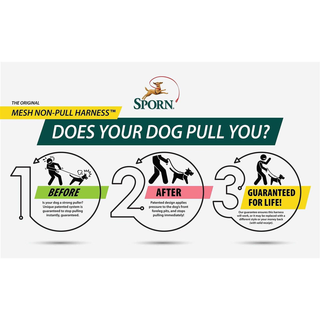 Mesh Non Pull Dog Harness G779050
