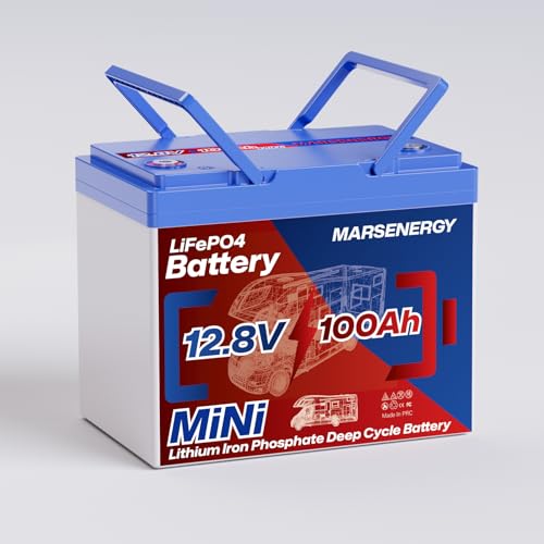 12V 100Ah Lifepo4 Battery, Bci Group 24, Built-in 100A Smart BMS Q21297