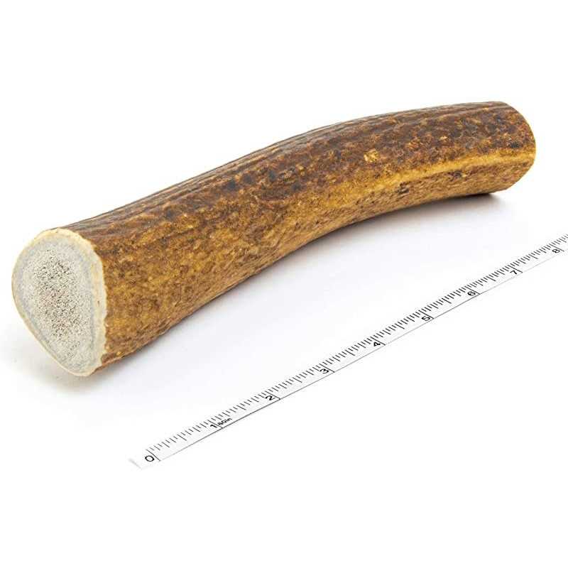 Elk Antler Dog Chew J977949