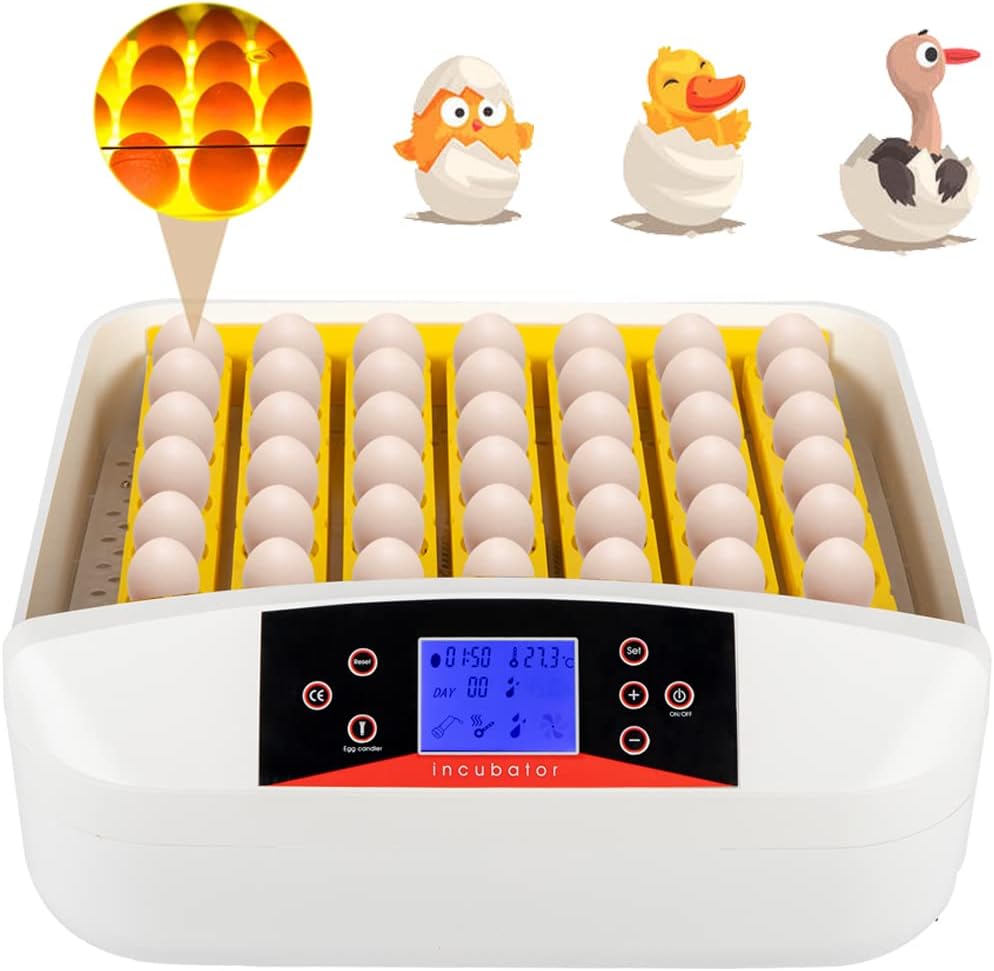 9 Egg Incubator with Temperature Control and Egg Candle Tester Pack of 2 F4749