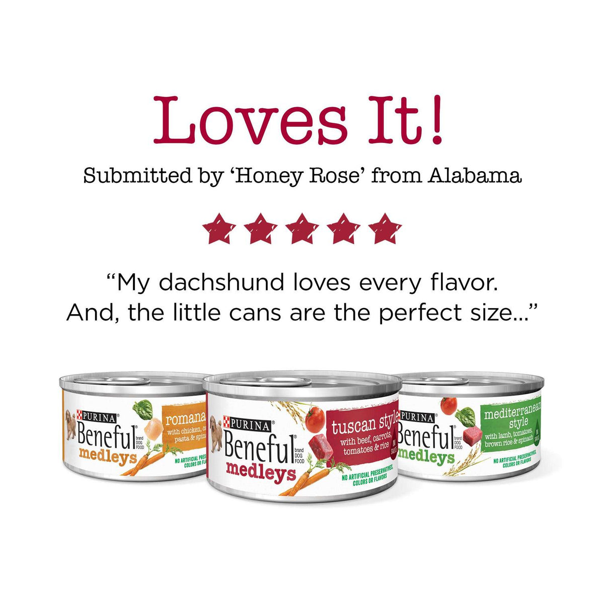 Wet Dog Food P536