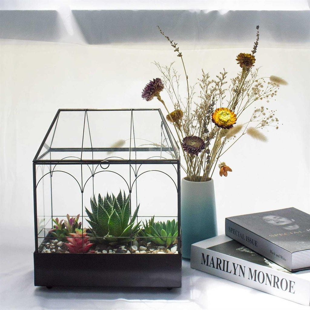 Large Tall Glass Plant Terrarium with Tray X3118