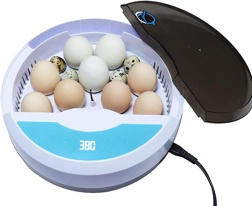 9 Egg Incubator with Temperature Control and Egg Candle Tester Pack of 2 F4749