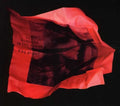 CD U737428