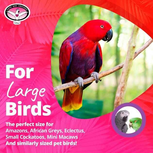 Bird Toy J489