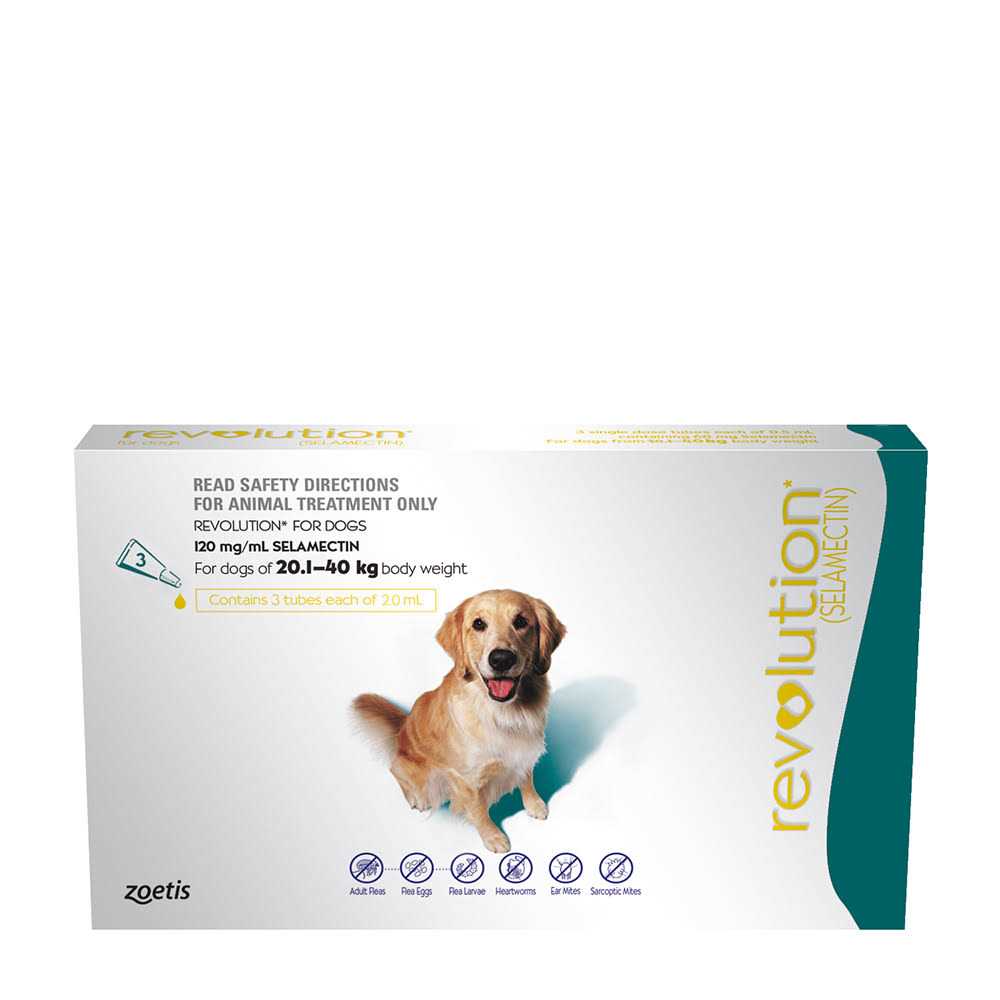 Teal 6 Pack R64439
