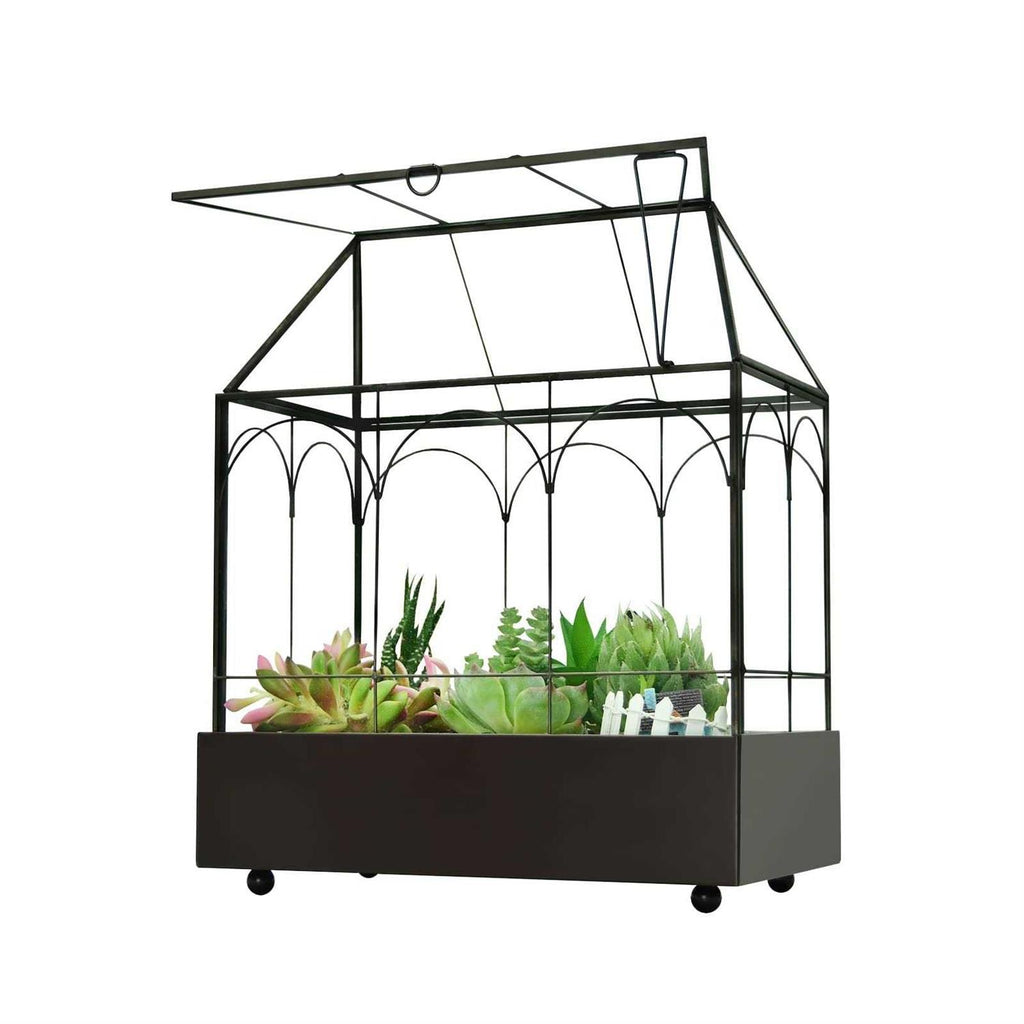 Large Tall Glass Plant Terrarium with Tray X3118