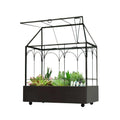 Large Tall Glass Plant Terrarium with Tray X3118