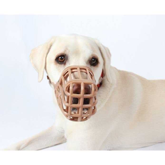 Muzzle K2843