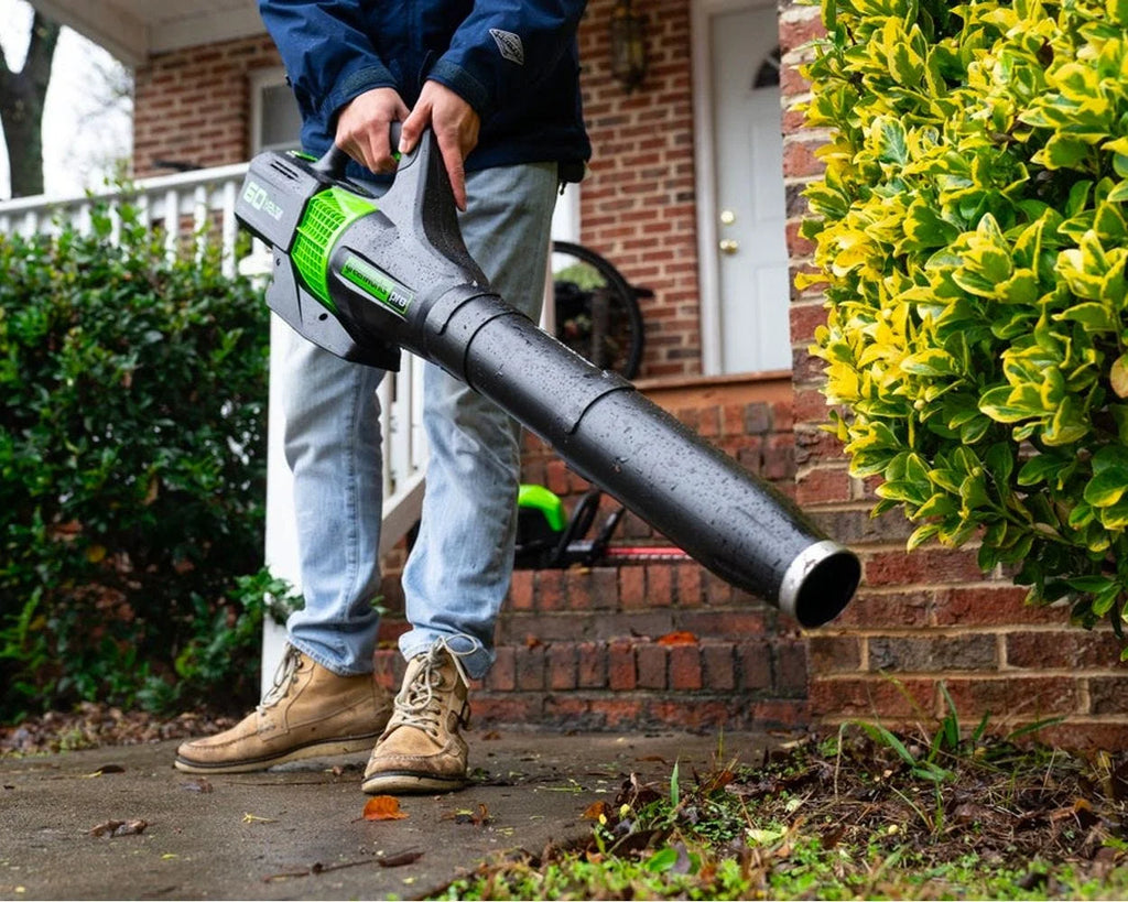 60V Cordless Leaf Blower with 2.0Ah Battery & Charger W2277