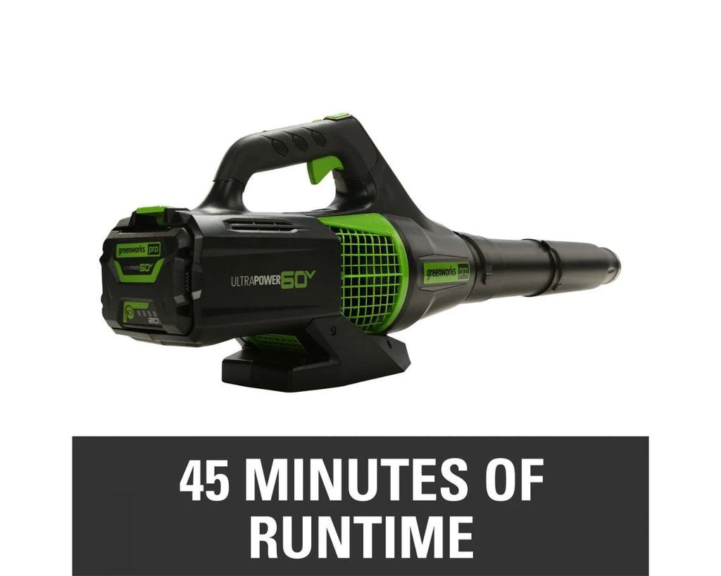 60V Cordless Leaf Blower with 2.0Ah Battery & Charger W2277