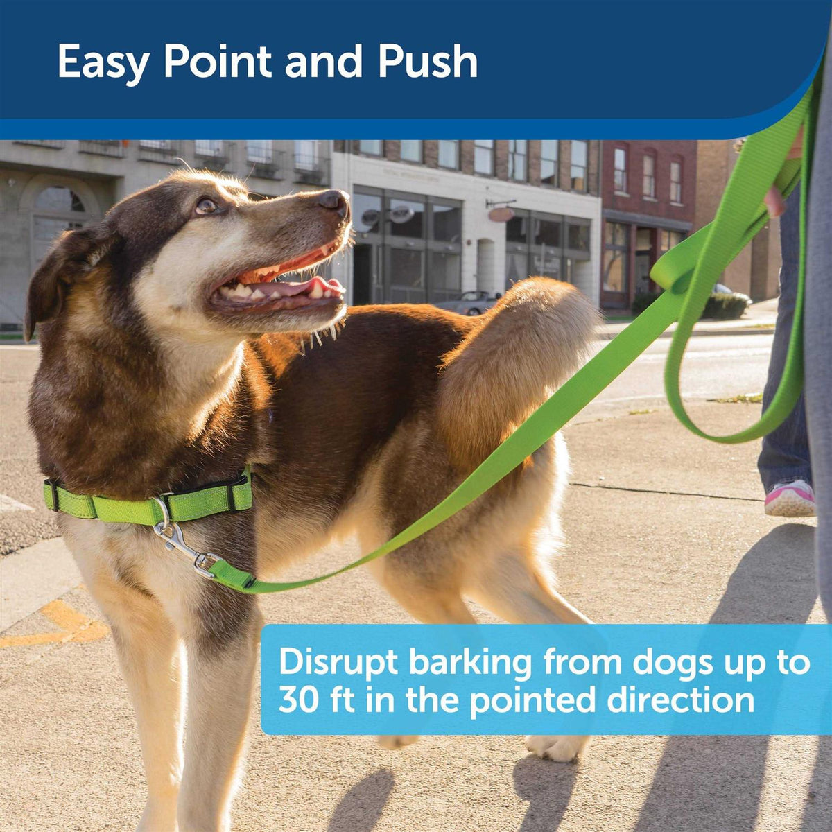 Ultrasonic Remote Dog Trainer R440