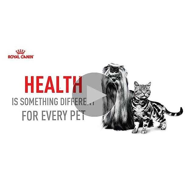 Hairball Care Thin Slices in Gravy Cat Food C70318