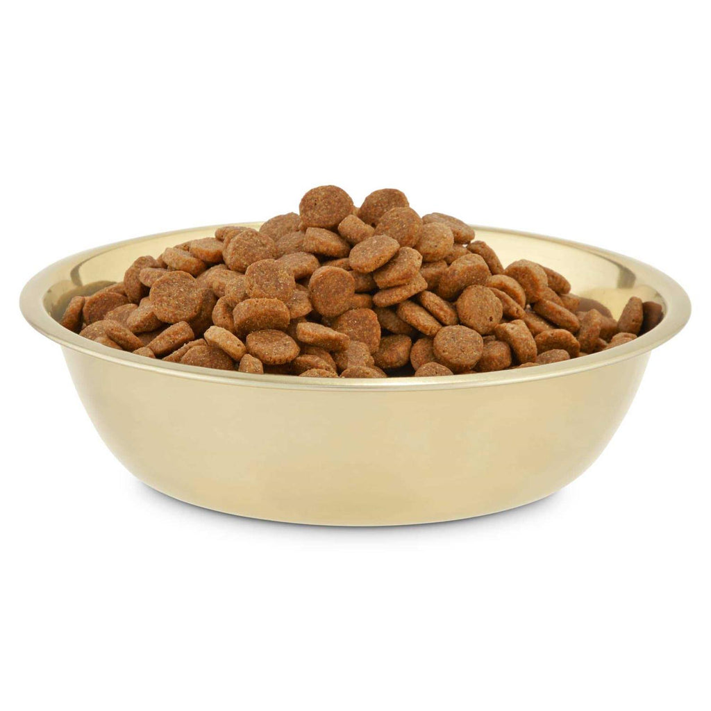 Gold Stainless Steel Dog Bowl Q9123