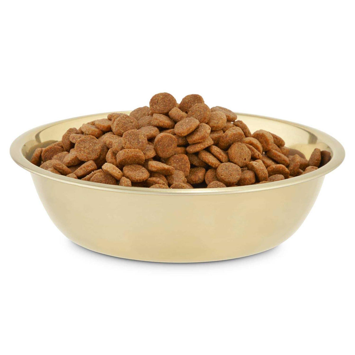 Gold Stainless Steel Dog Bowl Q9123