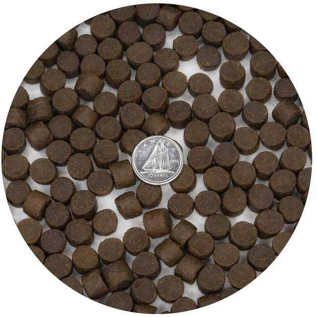 Dry Dog Food M1114
