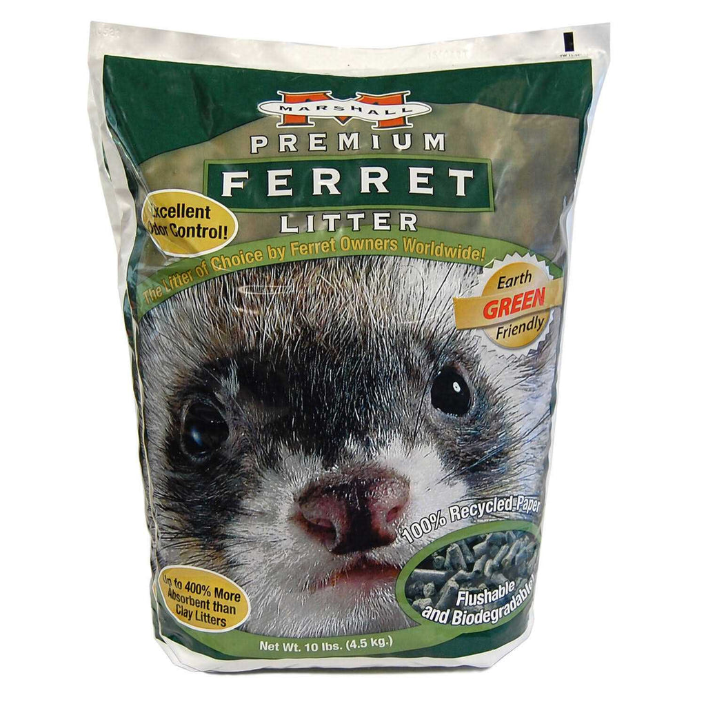 Ferret Litter D78988