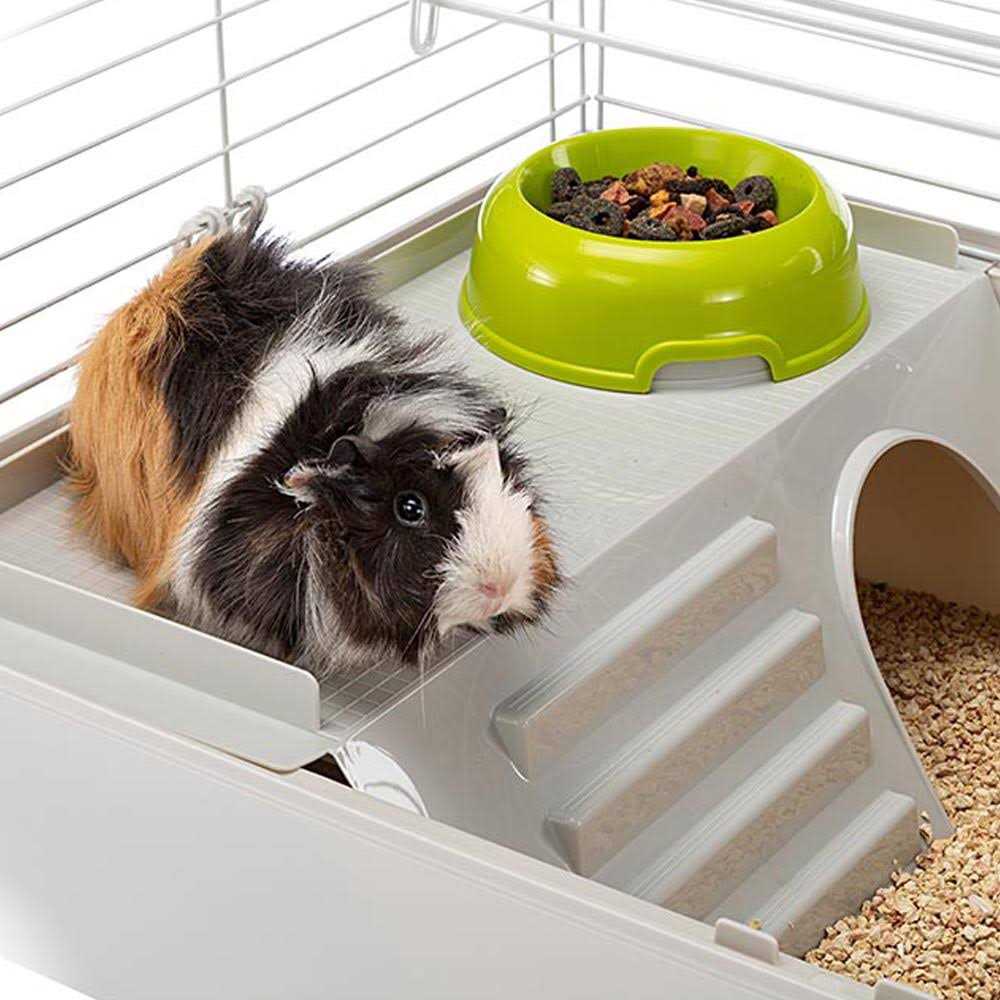 Guinea Pig Cage H6983