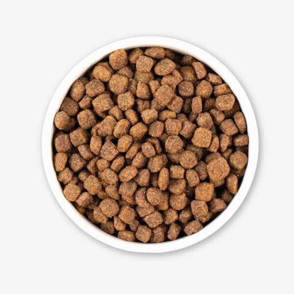 Grain Free Dry Dog Food T90283