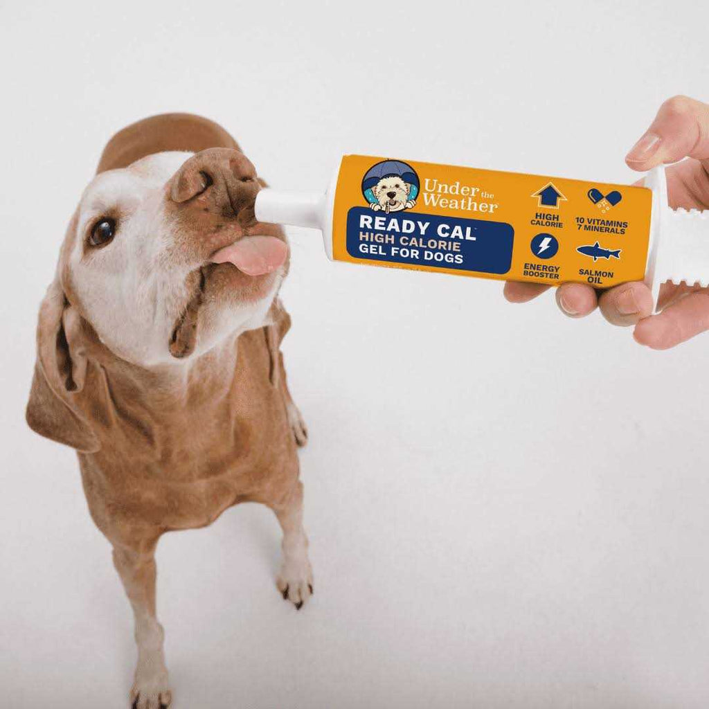 Ready Cal for Dogs R5505