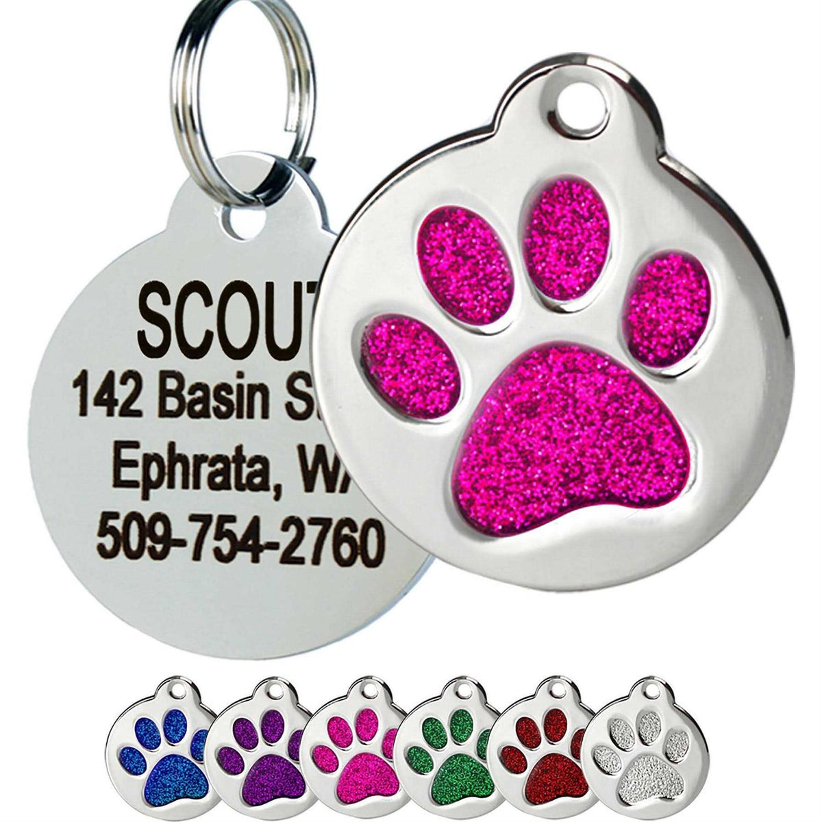 Stainless Steel Personalized Dog & Cat ID Tag F420