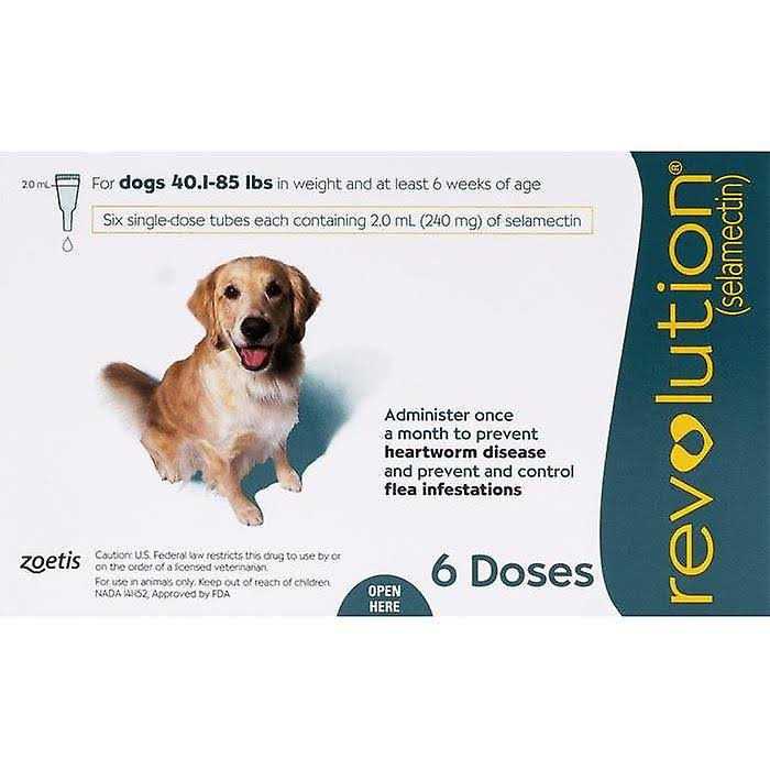 Teal 6 Pack R64439