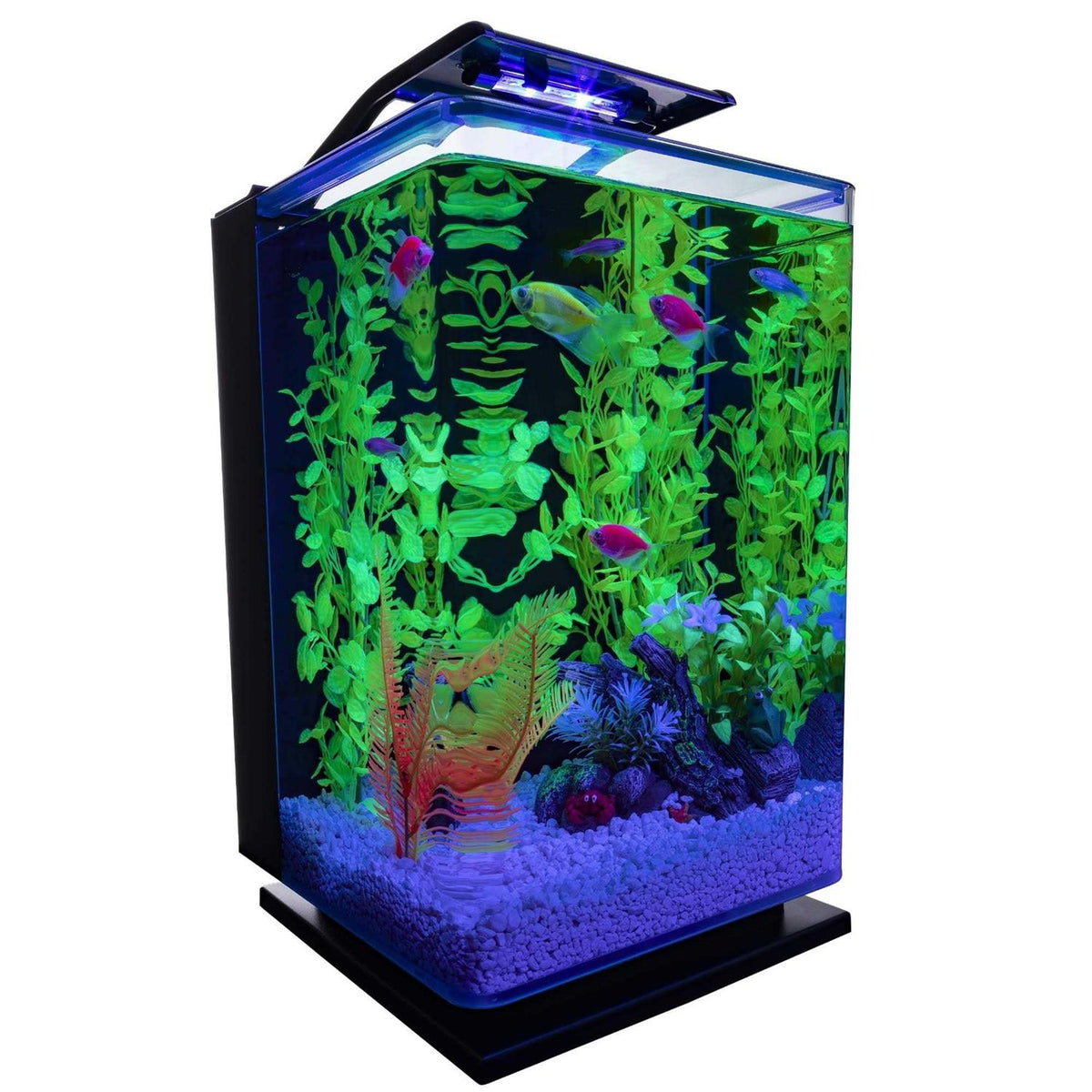Aquarium Kit C800466
