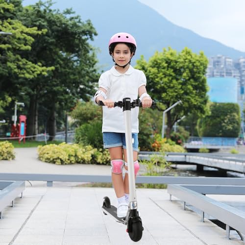 250W Motor 15 Mph Foldable Electric Scooter R94287