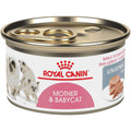 Wet Cat Food W1617
