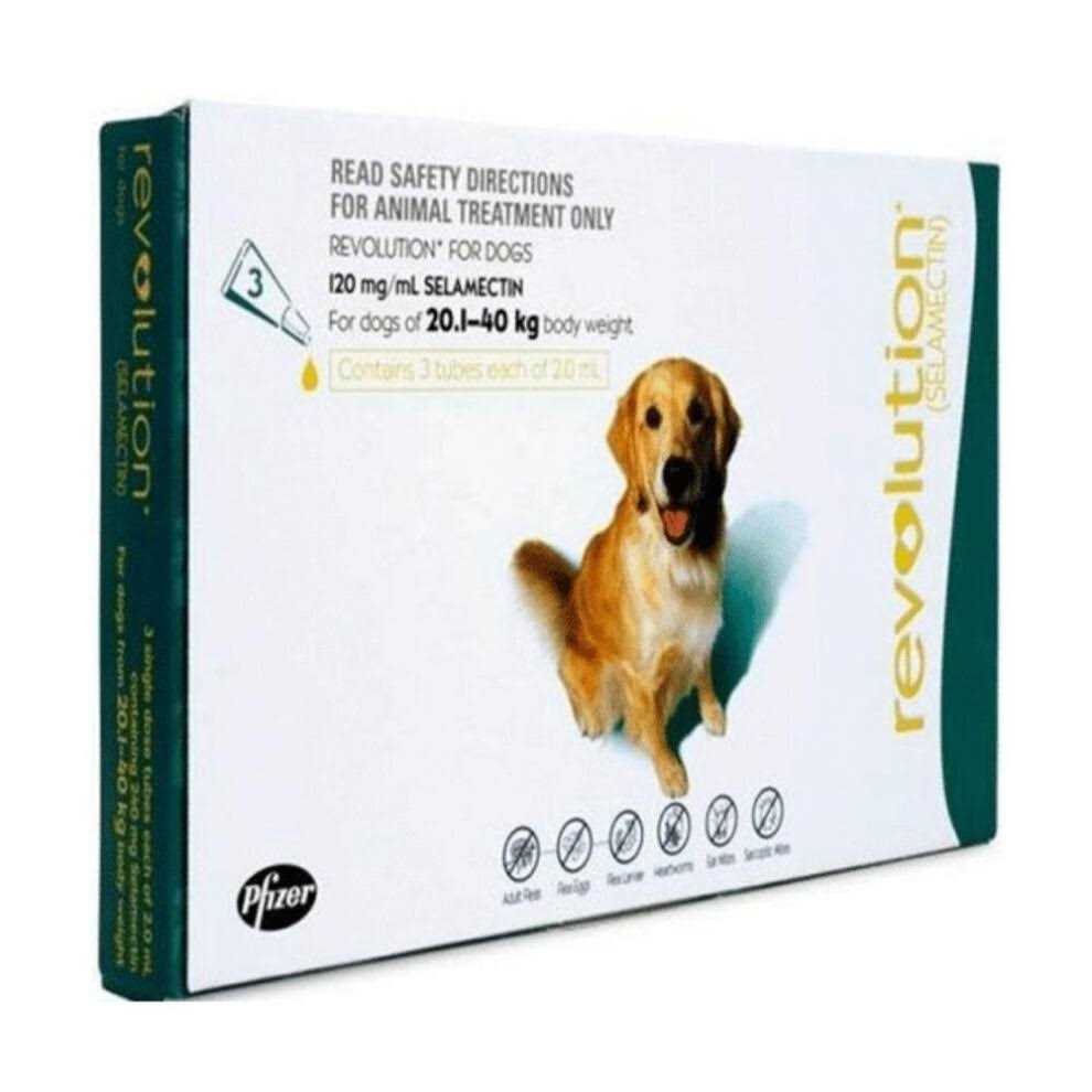 Teal 6 Pack R64439
