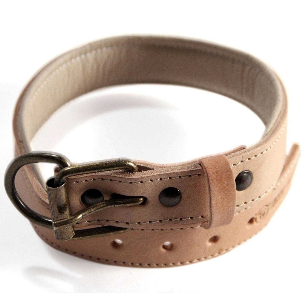 Padded Full Grain Leather Dog Collar L325