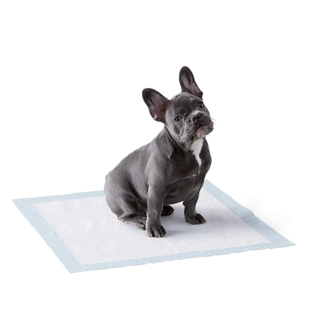 Dog and Puppy Pee Pads 5-layer Leak-proof Quick-dry E652178