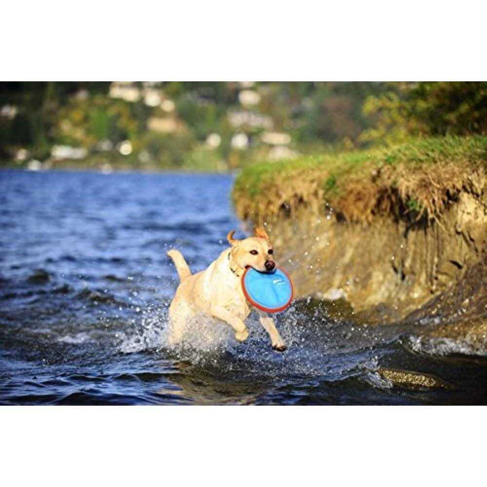Dog Toy M351068