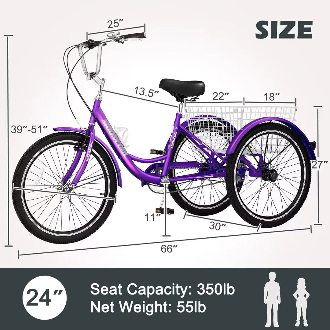 24 Inch 1 Speed Adult Tricycle B82955