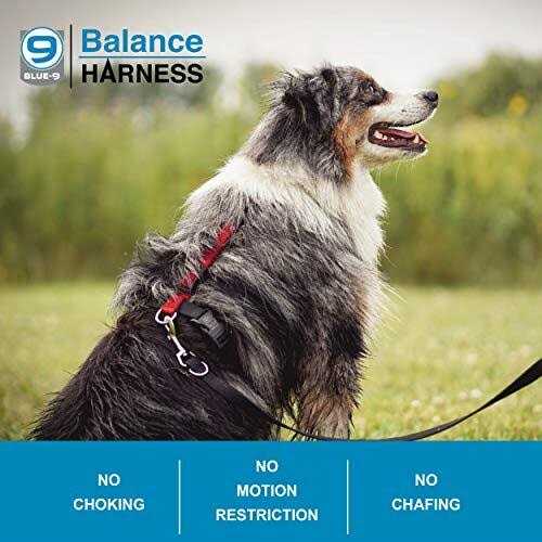 Buckle-Neck No-Pull Dog Harness R589