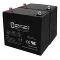 12 Volt 55 AmpH SLA Battery C69965