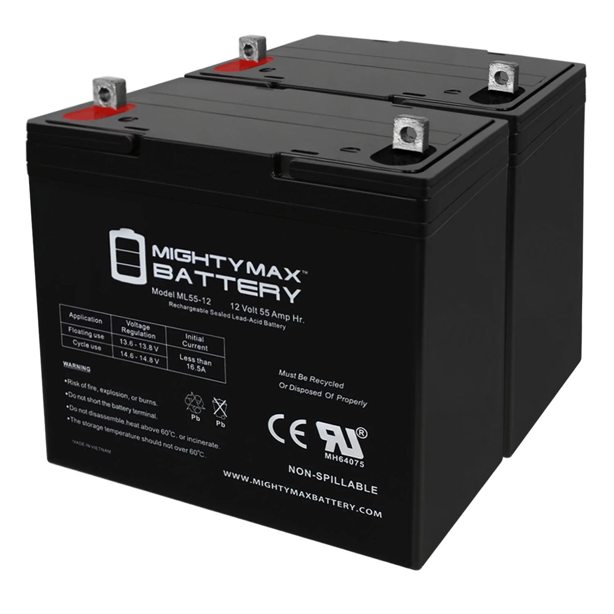 12 Volt 55 AmpH SLA Battery C69965