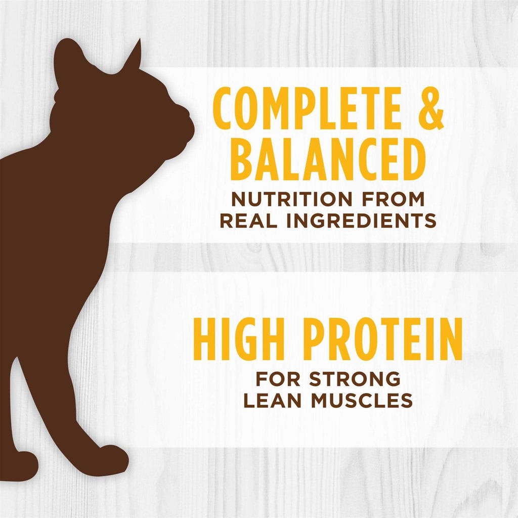 Grain Free Real Chicken Recipe Wet Cat Food A113566