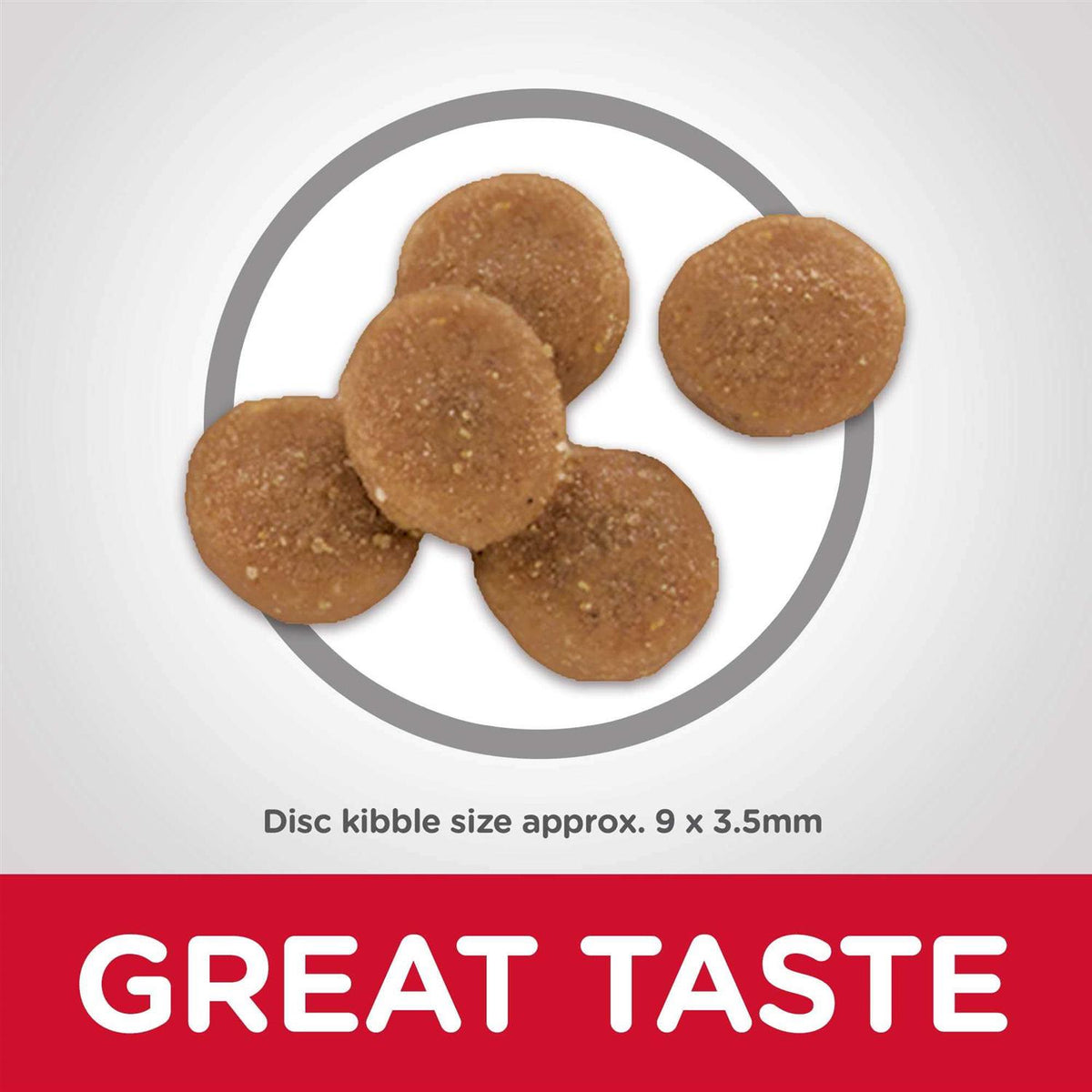 Sensitive Stomach and Skin Dry Cat Food S921400