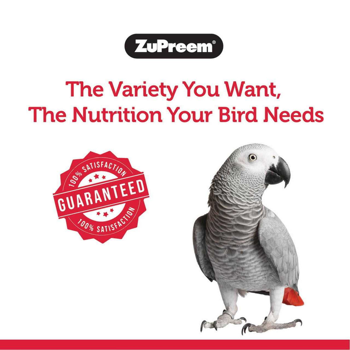FruitBlend Flavor Bird Food A82153