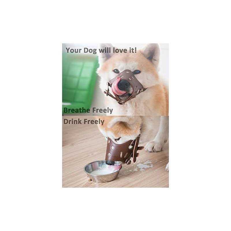 Leather Dog Muzzle P595