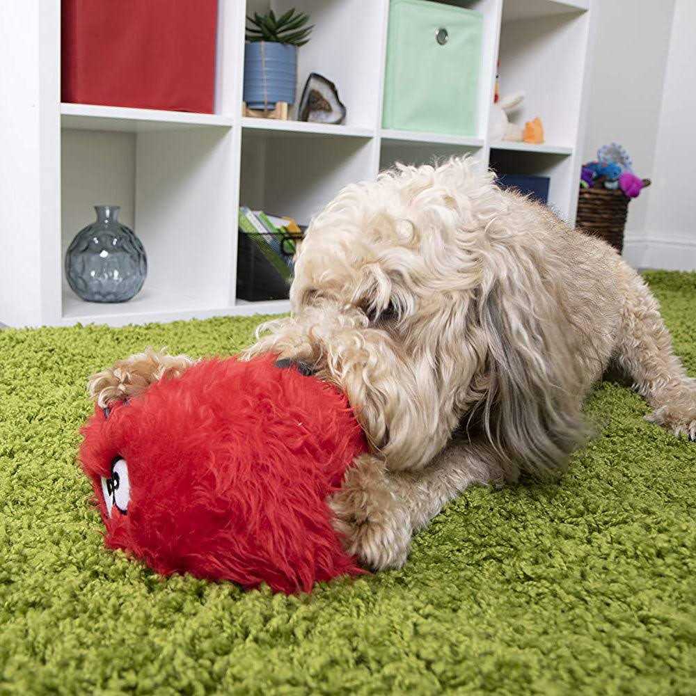 Dog Toy E242388