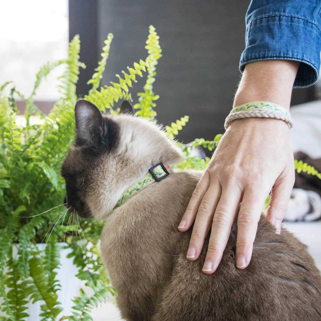 Cat Collar Breakaway S8543