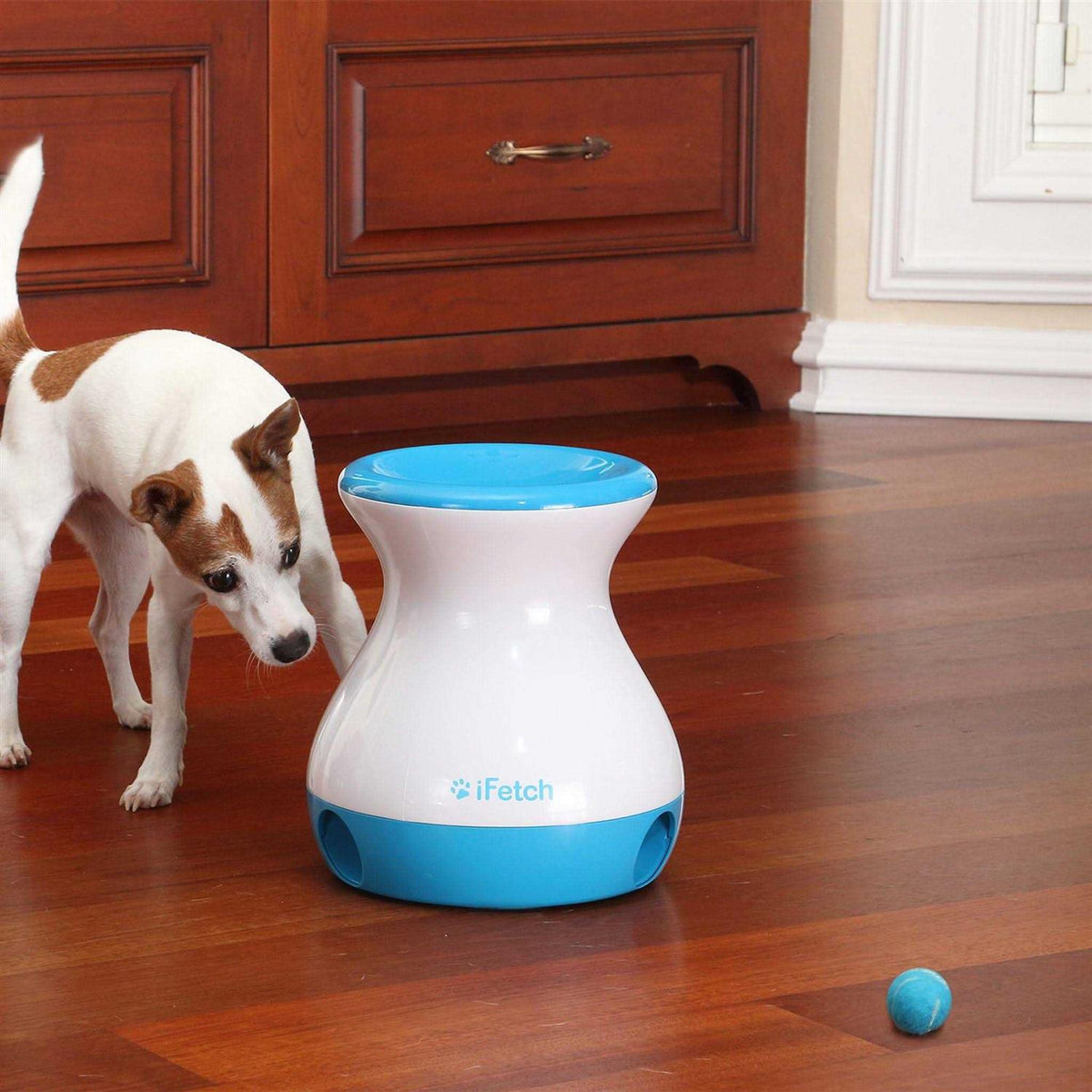 Dog Toy N9757