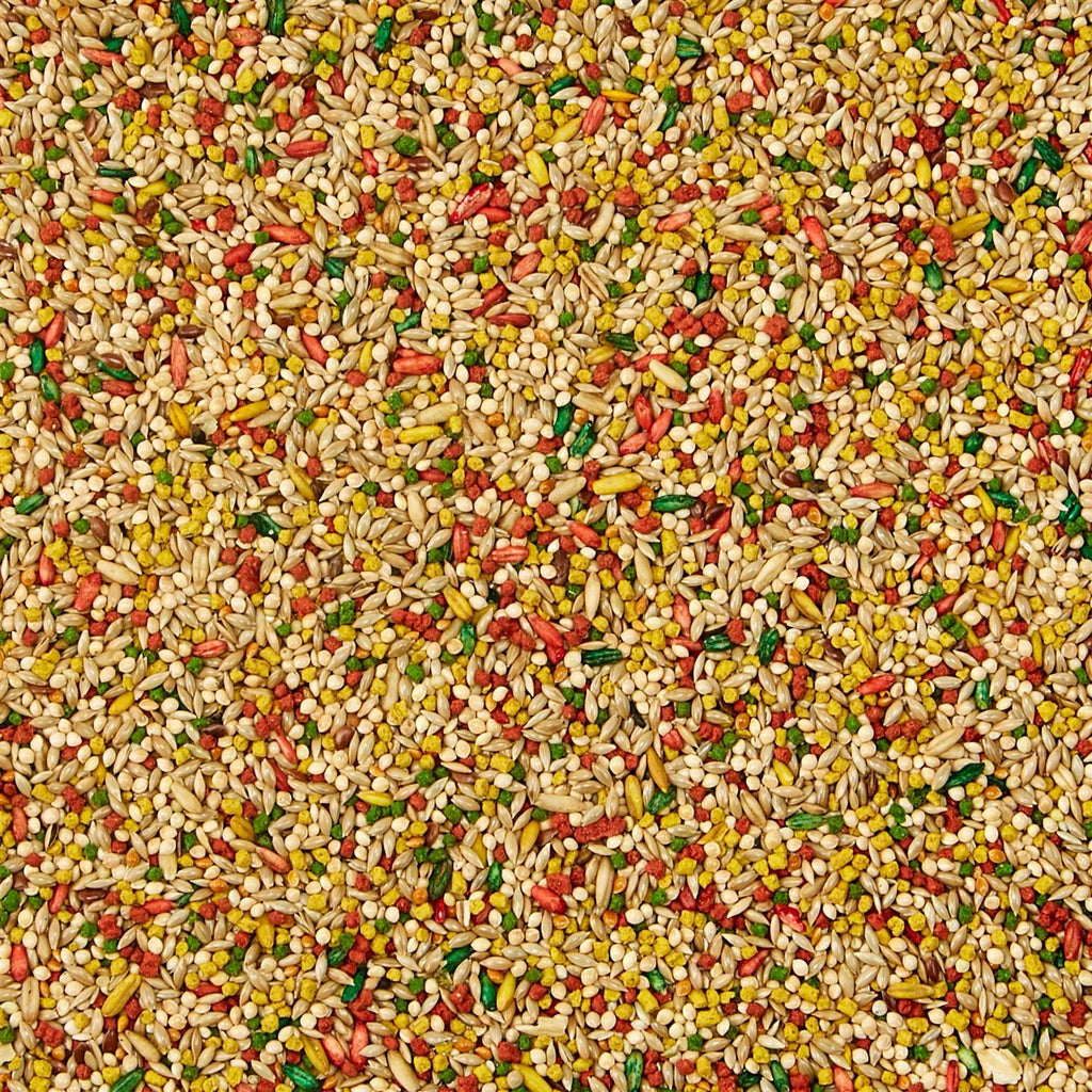 Parakeet Food M6876